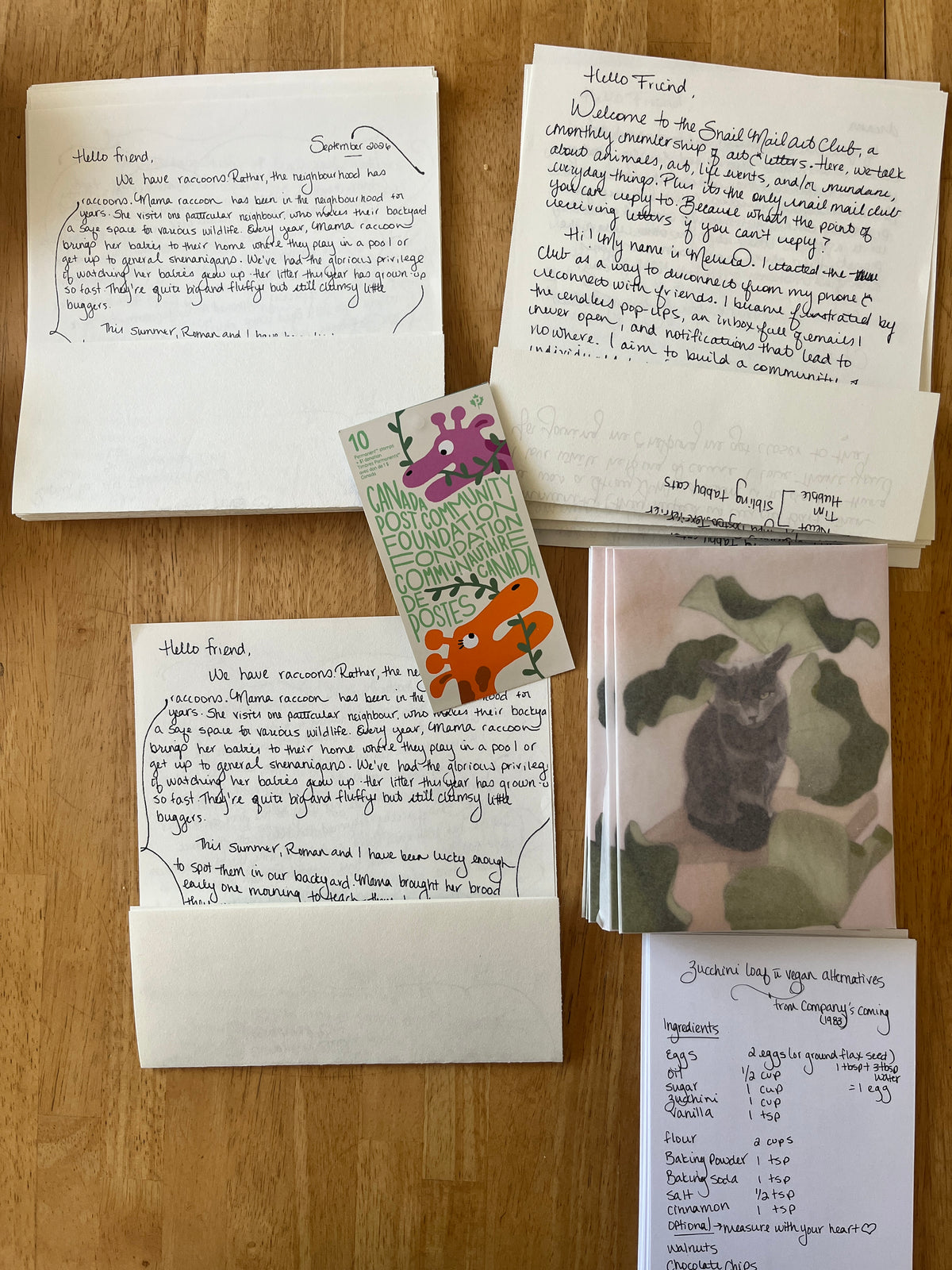 Snail Mail Art Club